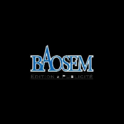Baosem - Partenaire de HOSTARTS Logo de Baosem